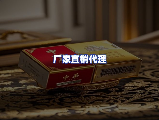 专业团队